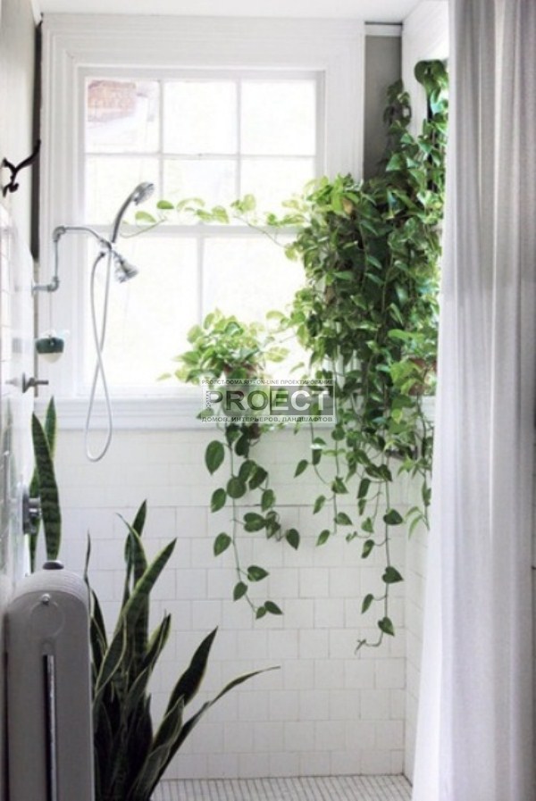 ванная комната с растениями