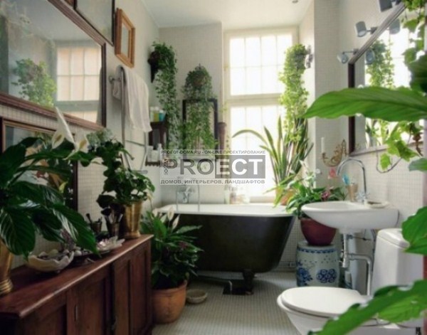 озеленение ванной комнаты